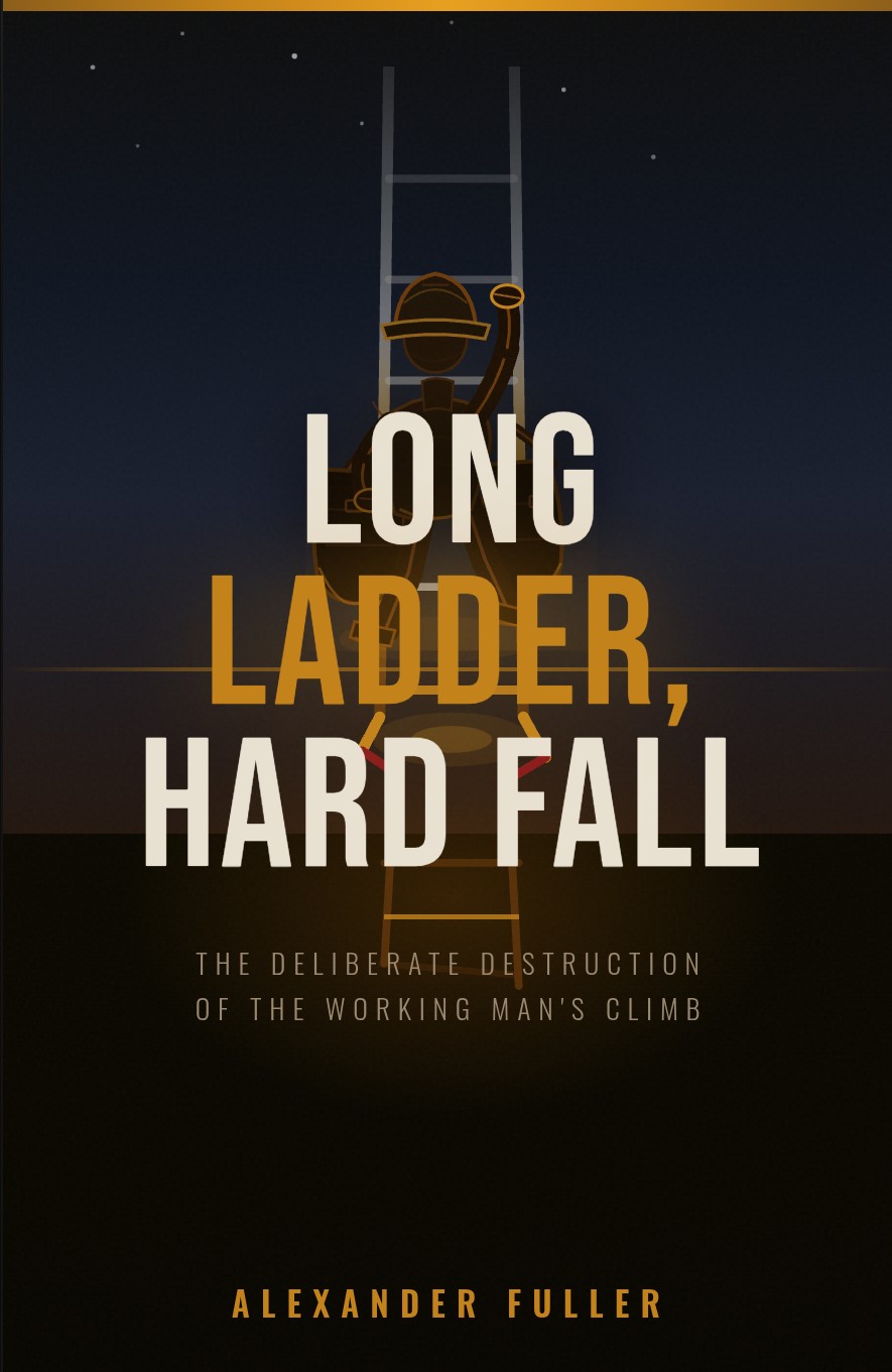 Long Ladder, Hard Fall by Alexander Fuller